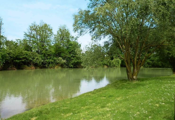 vue sur la rivière au camping la bastide à Mazères