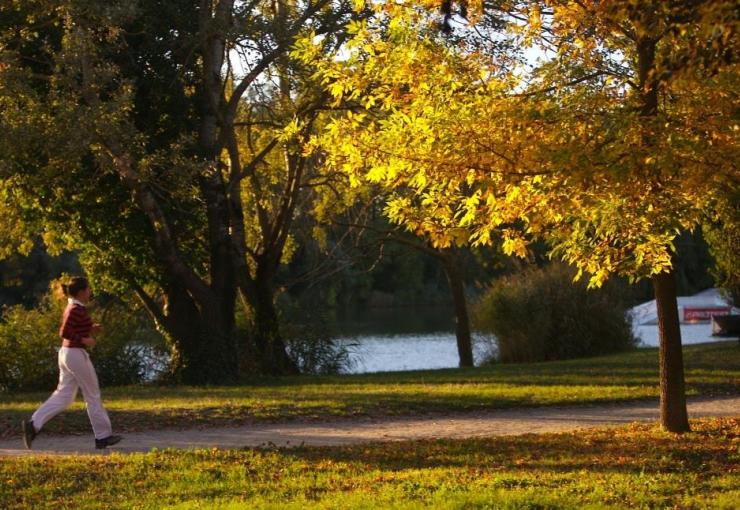 canal du midi à Toulouse