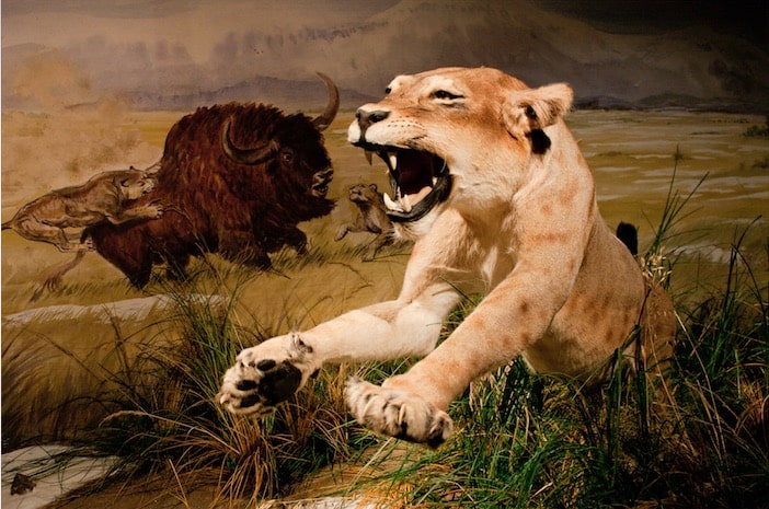 Parque de la Prehistoria de Ariège