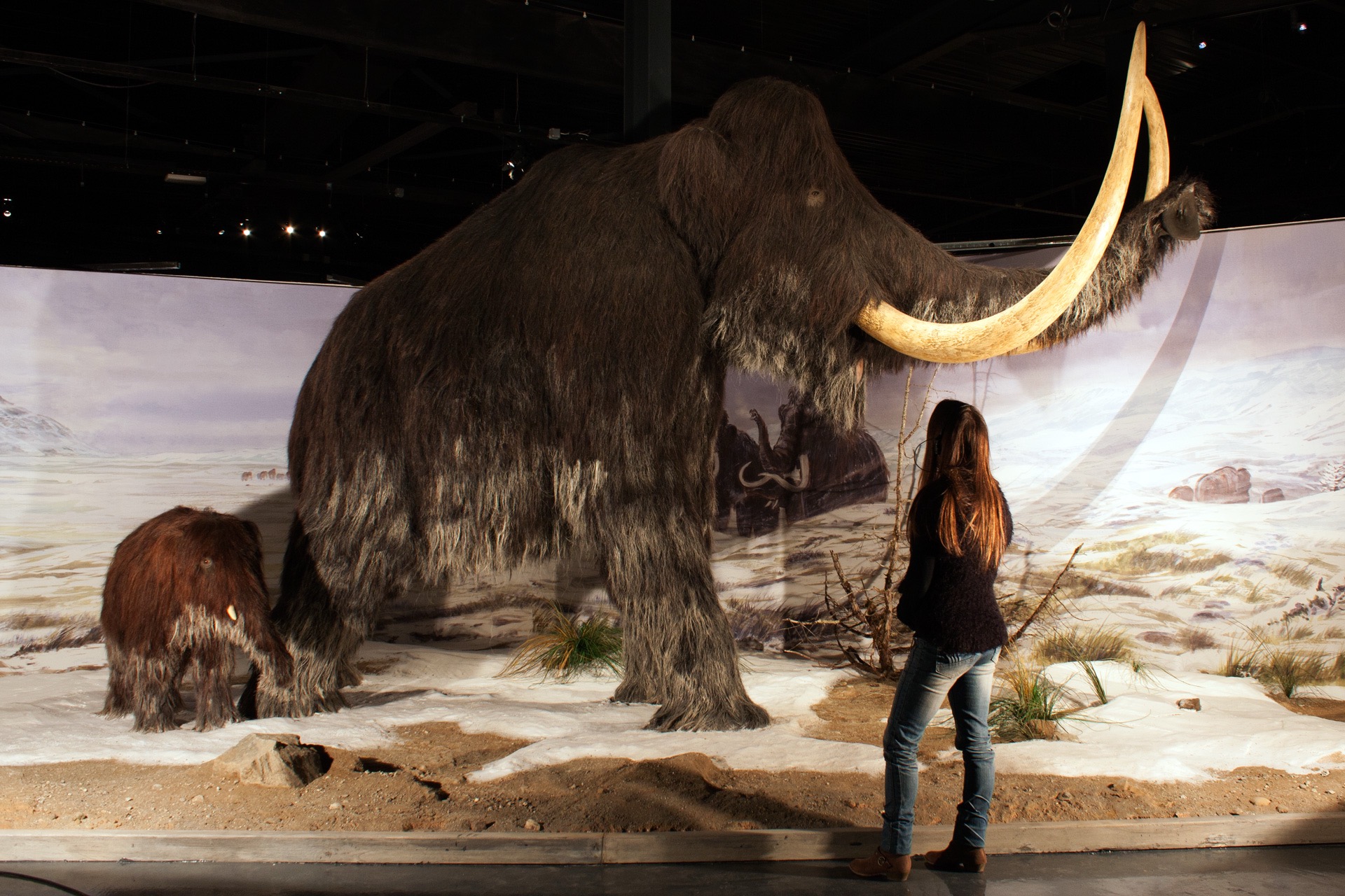 parque de la prehistoria Tarascon sur Ariège