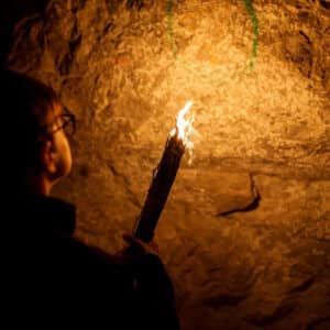 Grotte de Niaux Ariège
