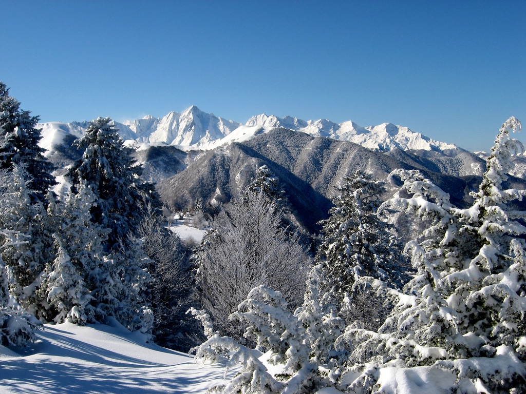 winter