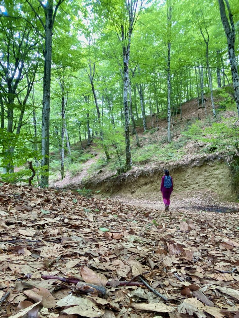 Trois cascades en Ariège