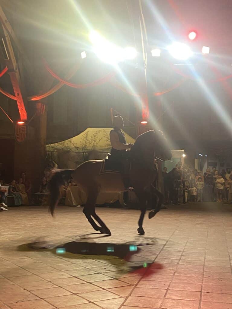 animation sour Les Halles de la bastide en août