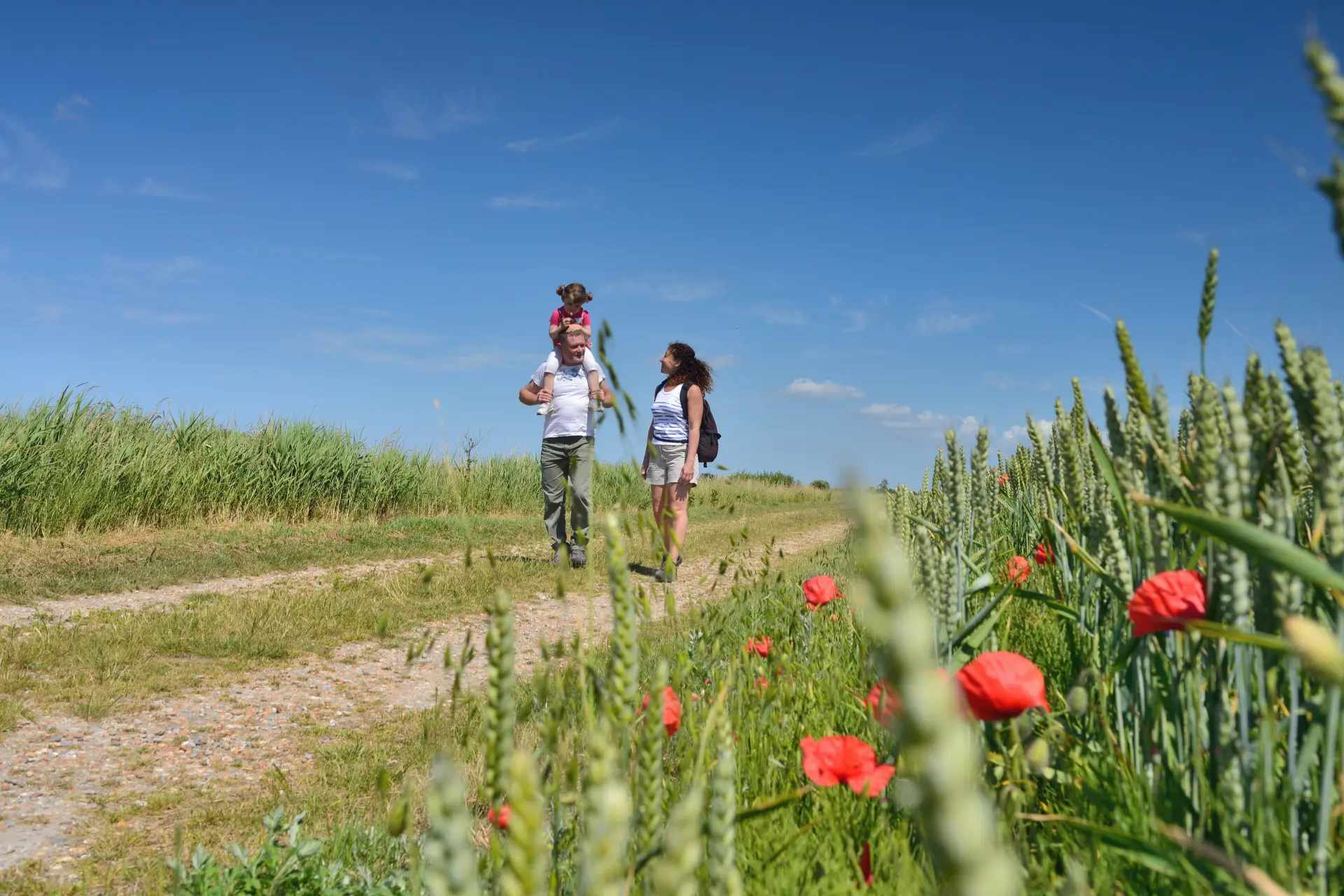 nos idées de week-end autour de Toulouse